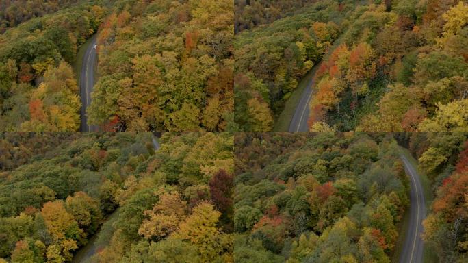 秋天的蓝岭公园路原始森林