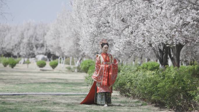汉服中的中国女性樱花盛开汉服