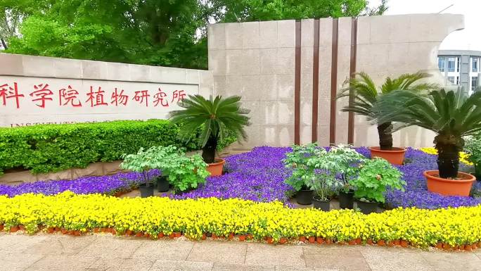 中国科学院植物研究所 北京地标建筑