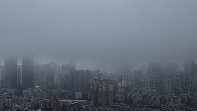 平流雾 城市大雾 潮湿天气