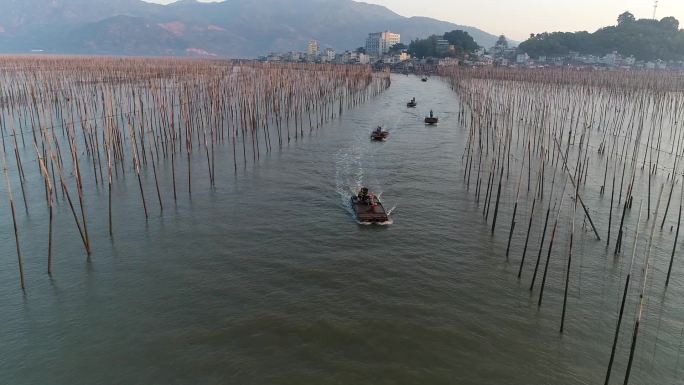 福建霞浦渔船2