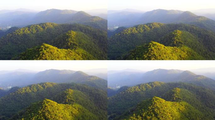 空中飞过树林，直奔群山