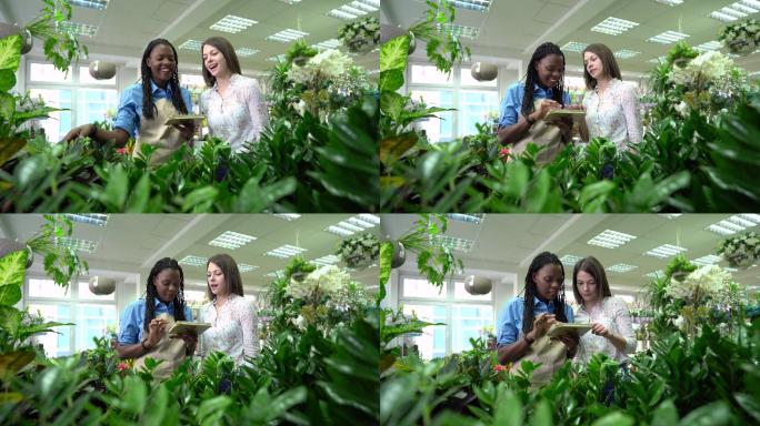 花商向女顾客展示植物