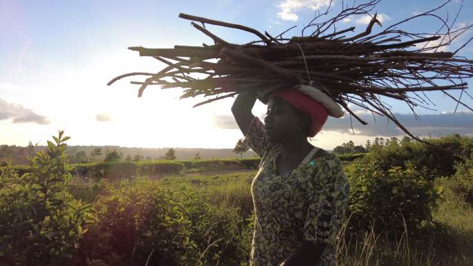日落——头上顶着一捆柴火的非洲年轻女子