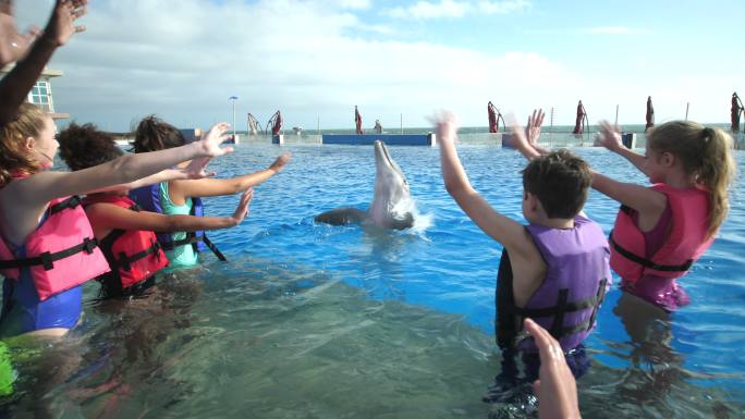 孩子们和训练员在水中与海豚一起挥手
