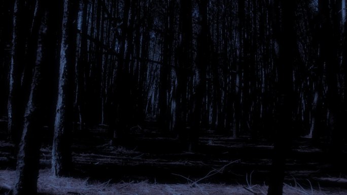 阴森恐怖的森林偏僻幽暗犯罪