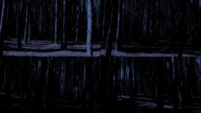 阴森恐怖的森林偏僻幽暗犯罪