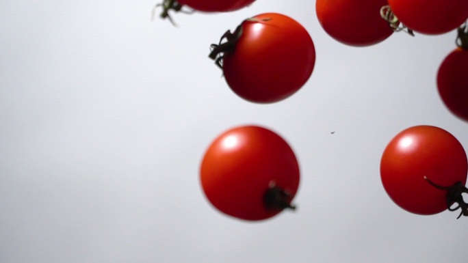 番茄飞扬的慢动作西红柿圣女果
