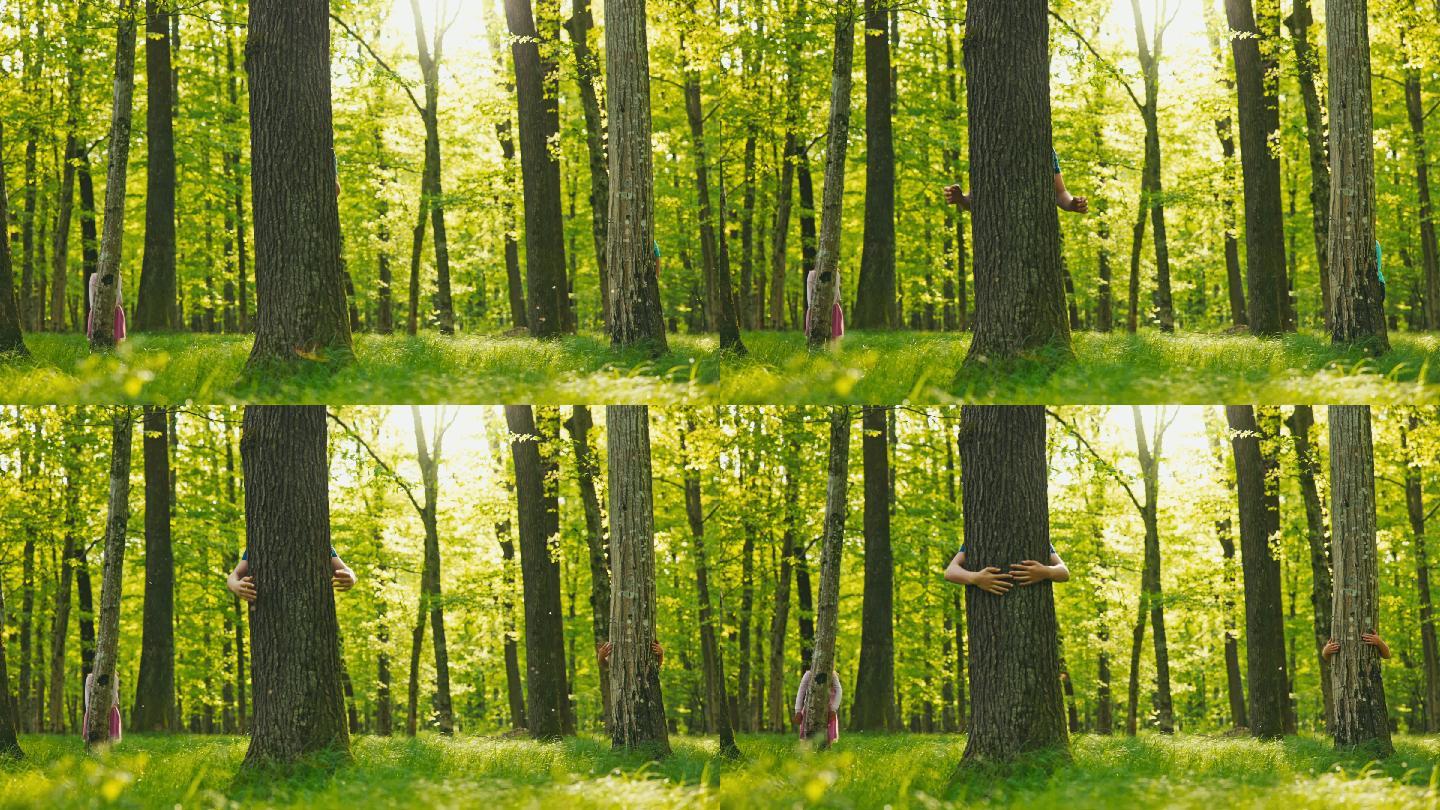 三个孩子在森林里拥抱树木