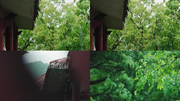 狂风暴雨下雨