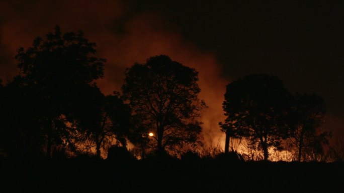 森林火灾的现场是燃烧的原因