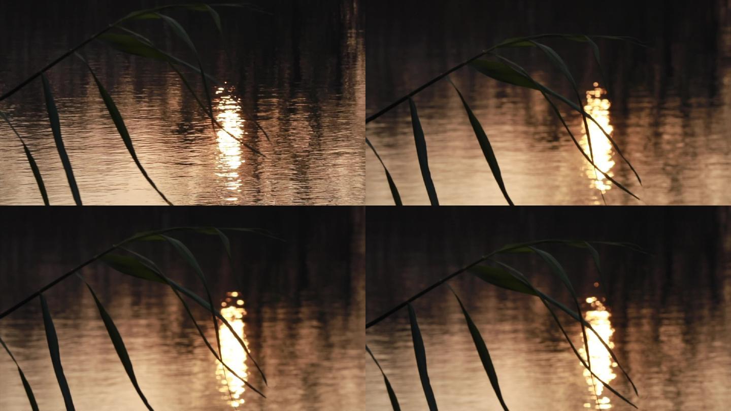 夕阳下波光粼粼的湖面意象镜头A001