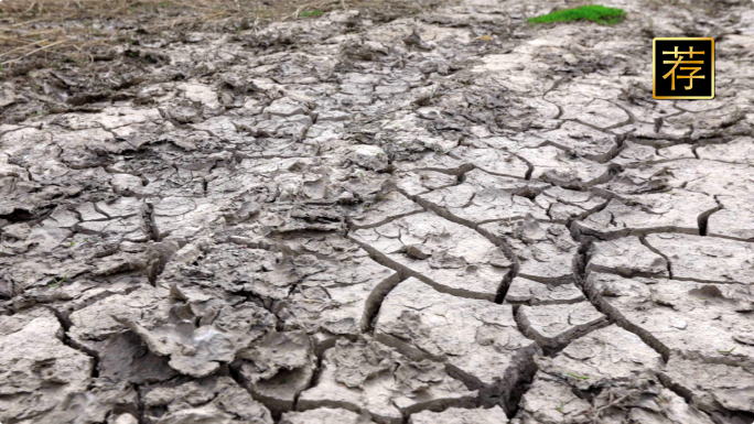 干枯的土地 破坏环境 大地干旱缺水