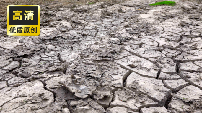 干枯的土地 破坏环境 大地干旱缺水