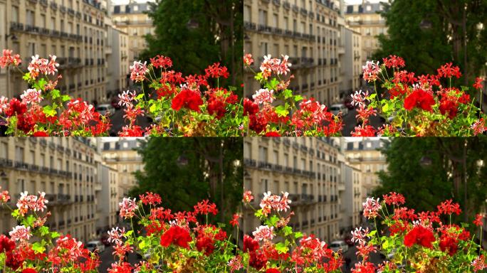 巴黎的鲜花浪漫美景