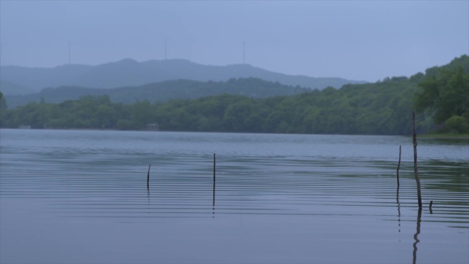 全椒山水油菜花电力风车空镜A011