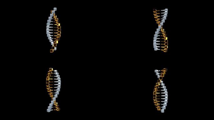 DNA遗传基因学生物科技基因链生命密码