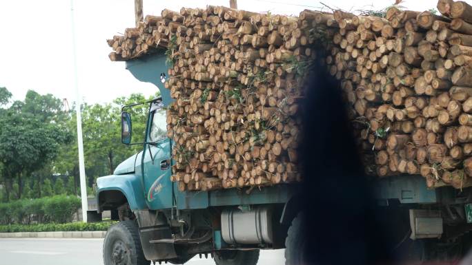 木材木头运输