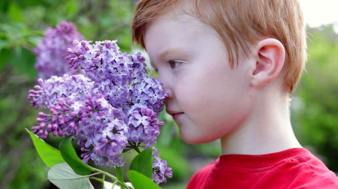 夏天，可爱的红发男孩在户外闻紫色丁香花