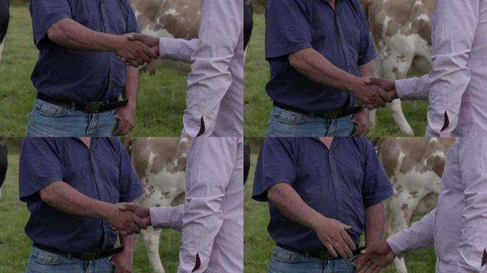 无法辨认的农民握手成交的特写镜头