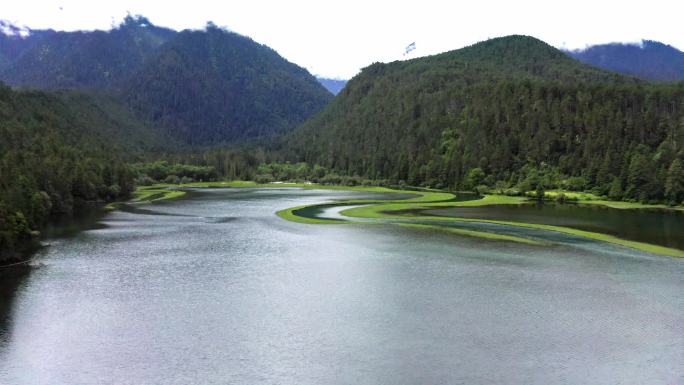 西藏林芝草湖2