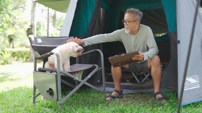 早上，亚裔中国老人和他的玩具贵宾犬同伴在露营椅上使用数字平板电脑