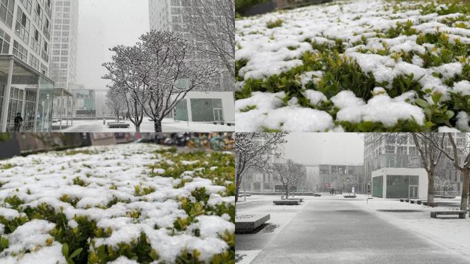 北京国贸雪景