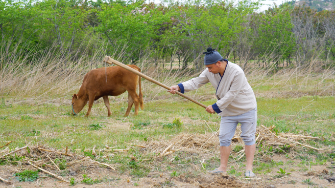 古代农夫刨地，田间干活