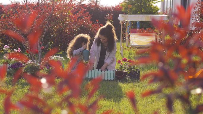 母亲和女儿园艺在一个阳光明媚的日子里，母亲和女儿在房子的后院种花，亲手种植绿色幼苗，社区园艺，城市农