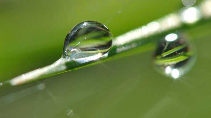 雨点落在树叶上水珠