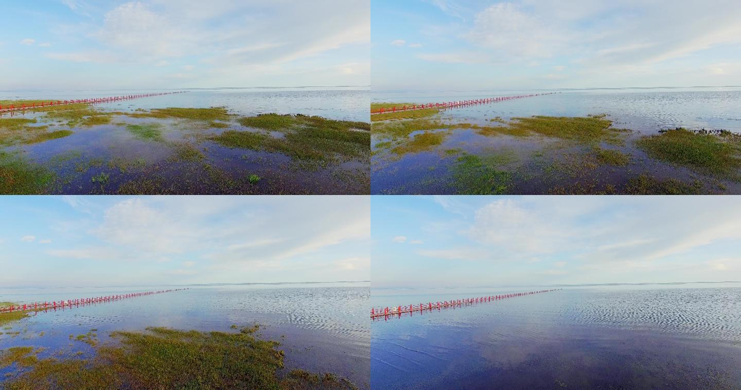 青海湖 湿地 航拍 湖水 湖泊 美丽的