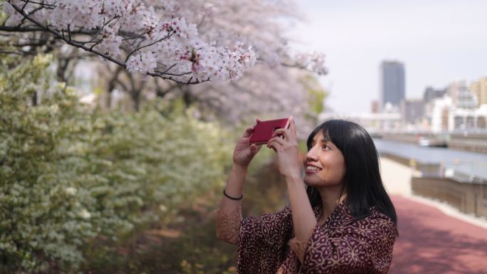 亚洲女子在公园里拍摄樱花