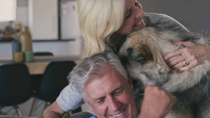 一对成年夫妇和他们的狗在客厅里亲密相处的4k视频片段