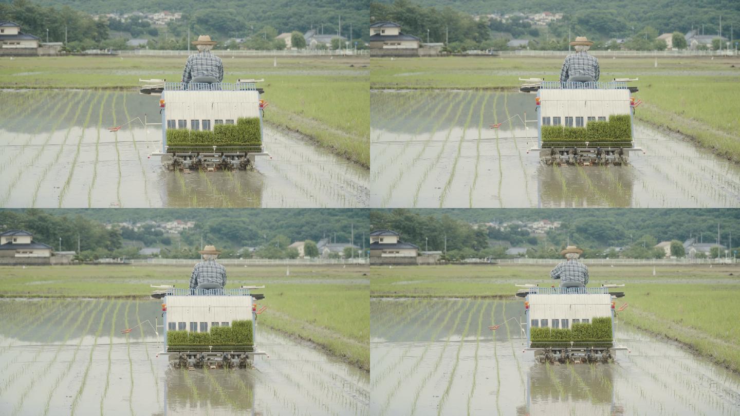 一位老人驾驶水稻种植机种植水稻作物的广角镜头