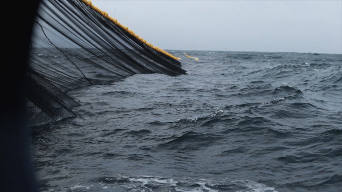 渔业：北海渔船上捕获的大量鲭鱼