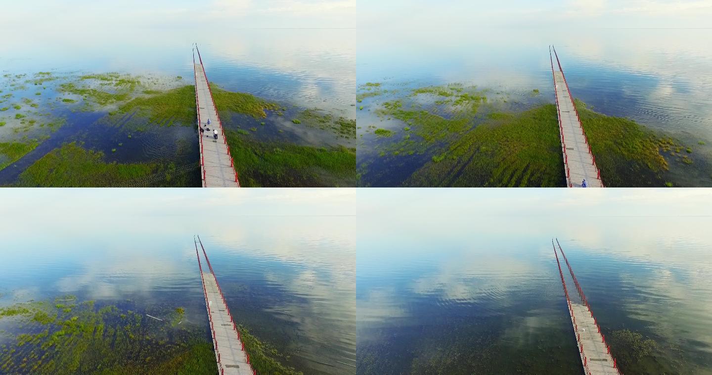 青海湖 湿地 航拍 湖水 湖泊 美丽的