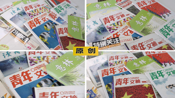 杂志-青年文摘读者意林