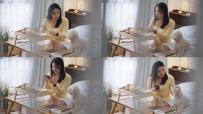 周末早上，亚洲华裔美女和她的玩具贵宾犬在床上享用早餐