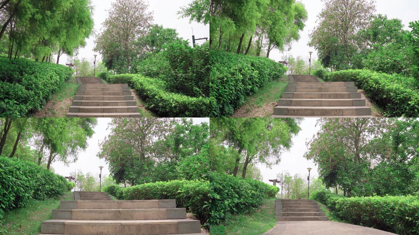 楼梯栈道走道走廊绿植公园植物前进