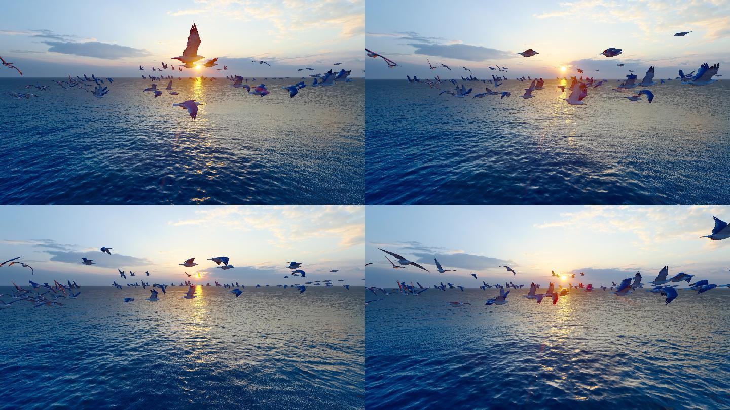 4k 海鸟在海面盘旋飞舞