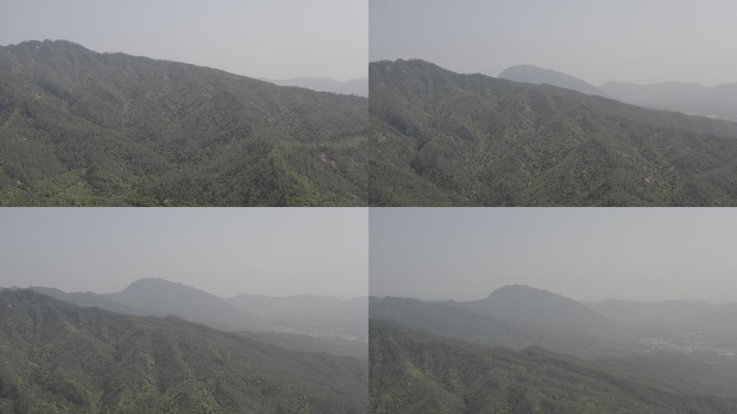 【D-log原片】航拍飞越森林 自然环境