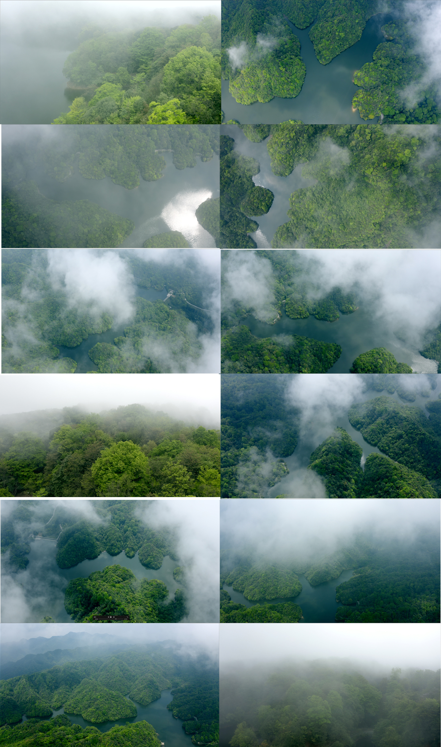 原始森林雨林树林湖泊