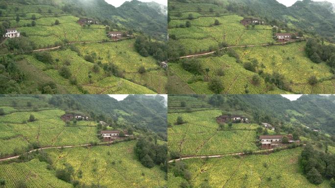 中国陕西省农田和村庄鸟瞰图。
