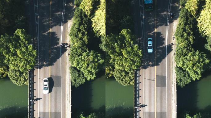 穿过湖泊和树木区域的道路鸟瞰图