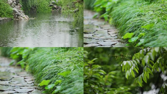 雨天，下雨，梅雨，春雨