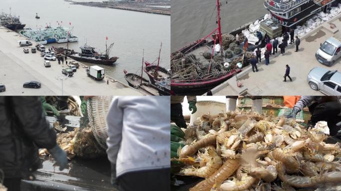 渤海湾 梭子蟹 皮皮虾  渔船