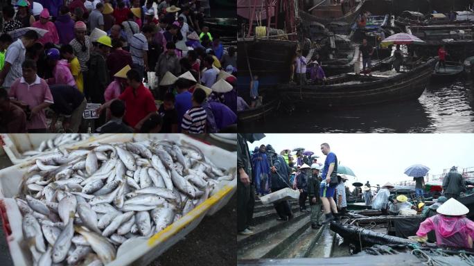 港口码头渔民海产海鲜渔获交易市场