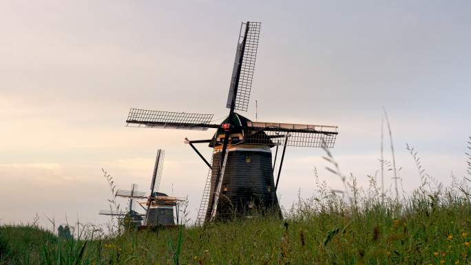 荷兰日出时的传统荷兰风车