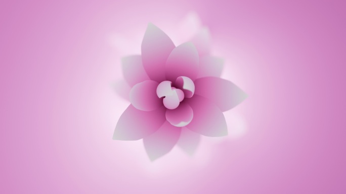粉色莲花环俯视图花朵开花场景背景