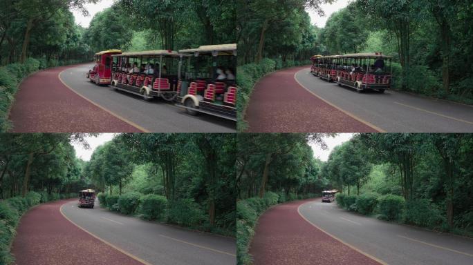 公园观光车驶过南宁青秀山